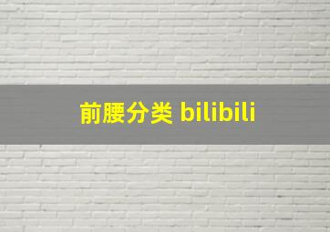 前腰分类 bilibili